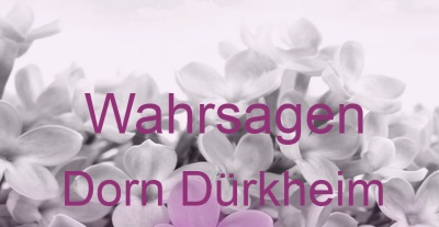 Wahrsagen Dorn Dürkheim | Top-Experten für Kartenlegen, Wahrsagen, Hellsehen, Zukunftsdeutung. Wahrsagen Dorn Dürkheim | Top-Experten für Kartenlegen, Wahrsagen, Hellsehen, Zukunftsdeutung.